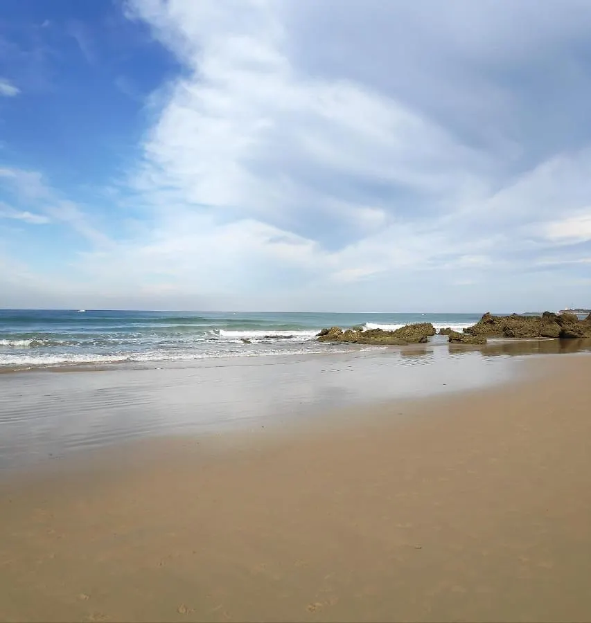 Casa La Playa-Conil Vacaciones De Lujo En Conil Con Todas Las Comodidades Netflix-Hbo-Disney-Canales De Futbol-Wifi Alta Velocidad-Smart Tv 65