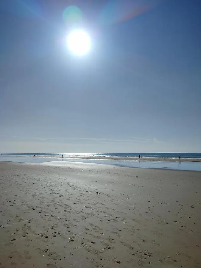 Casa La Playa-Conil Vacaciones De Lujo En Conil Con Todas Las Comodidades Netflix-Hbo-Disney-Canales De Futbol-Wifi Alta Velocidad-Smart Tv 65